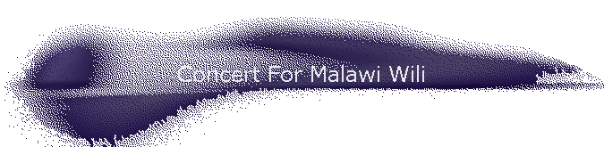 Concert For Malawi Wili